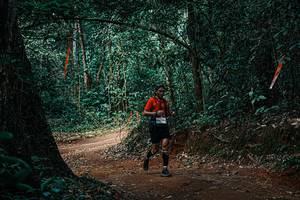 BIB: 
                            <button type="button" onclick="openModal(25395646)" class="btn btn-primary btn-sm float-right btn-popup" data-toggle="modal" data-target=".modal-high-quality">
                        <i class="fas fa-shopping-cart"></i> Add to Cart
                    </button>
                                            <button type="button" onclick="isThisMe(25395646, true)" class="btn btn-success btn-sm float-right btn-popup btn-isme hidden" data-toggle="tooltip" data-placement="bottom" title="นี่คือรูปของคุณใช่ไหม คลิกที่นี่เพื่อเอาเข้าอัลบั้ม">
                        <i class="fas fa-plus"></i> Add to album
                    </button>
                    <button type="button" onclick="isThisMe(25395646, false)" class="btn btn-warning btn-sm float-right btn-popup btn-isnotme hidden">
                        <i class="fas fa-ban"></i> Remove from album
                    </button>